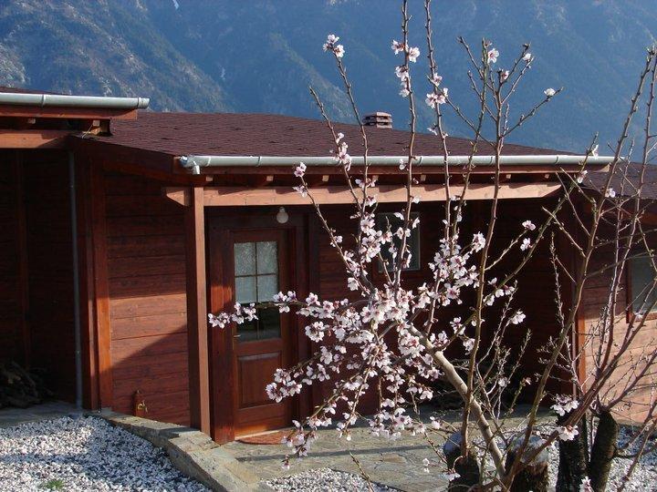 乡村风格公寓 科尼札 外观 照片