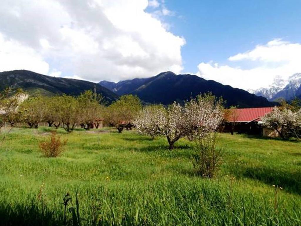 乡村风格公寓 科尼札 外观 照片