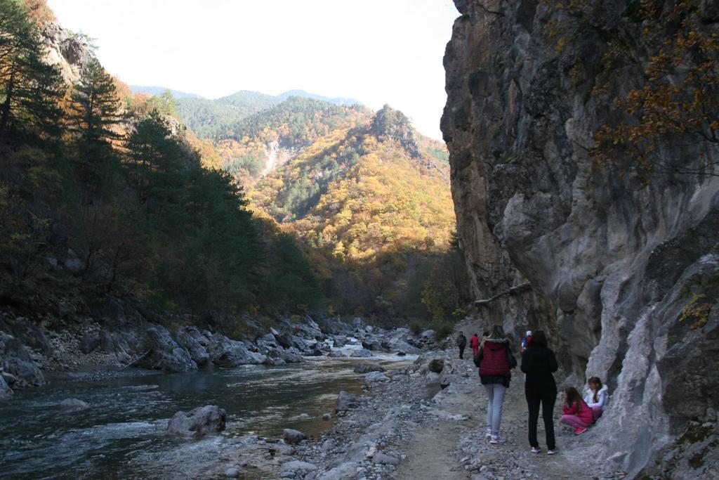 乡村风格公寓 科尼札 外观 照片